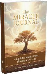 The Miracle Journal